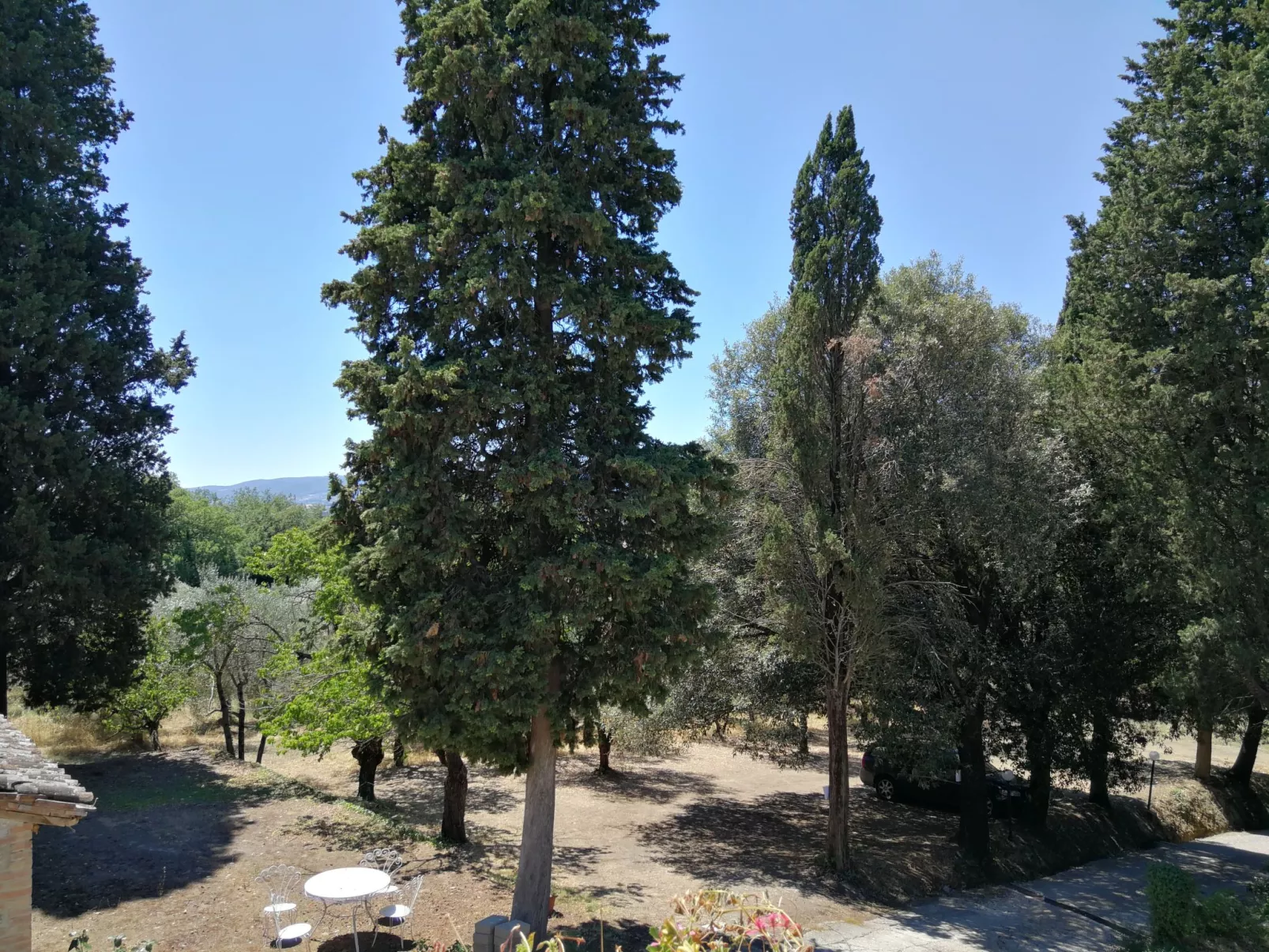 Villa Alari-Dehors