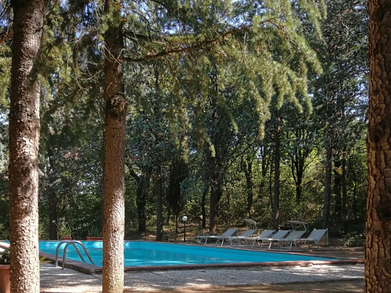 Villa Alari-Dehors