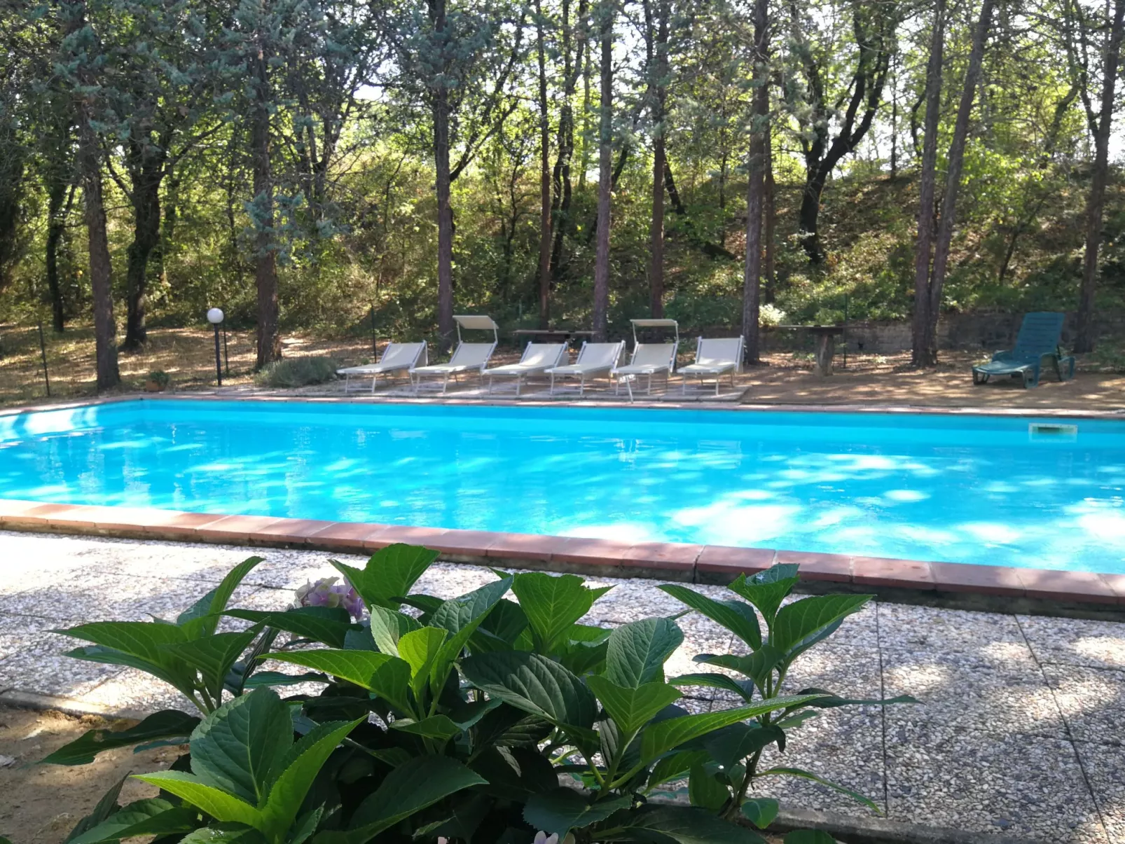 Villa Alari-Dehors