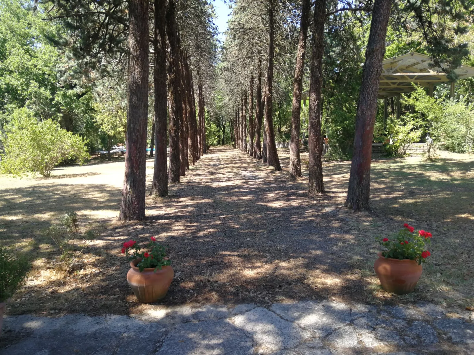 Villa Alari-Dehors