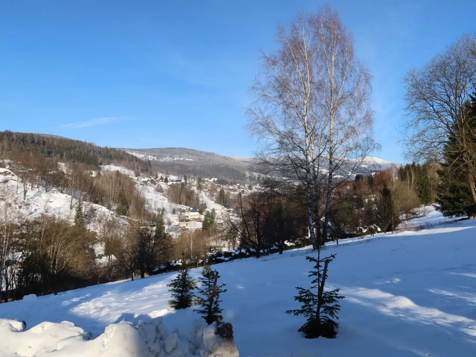 Vista 1-Outside