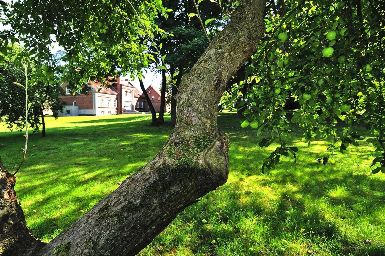 Gutshaus Zicker -Wohnung 9-Gardens summer
