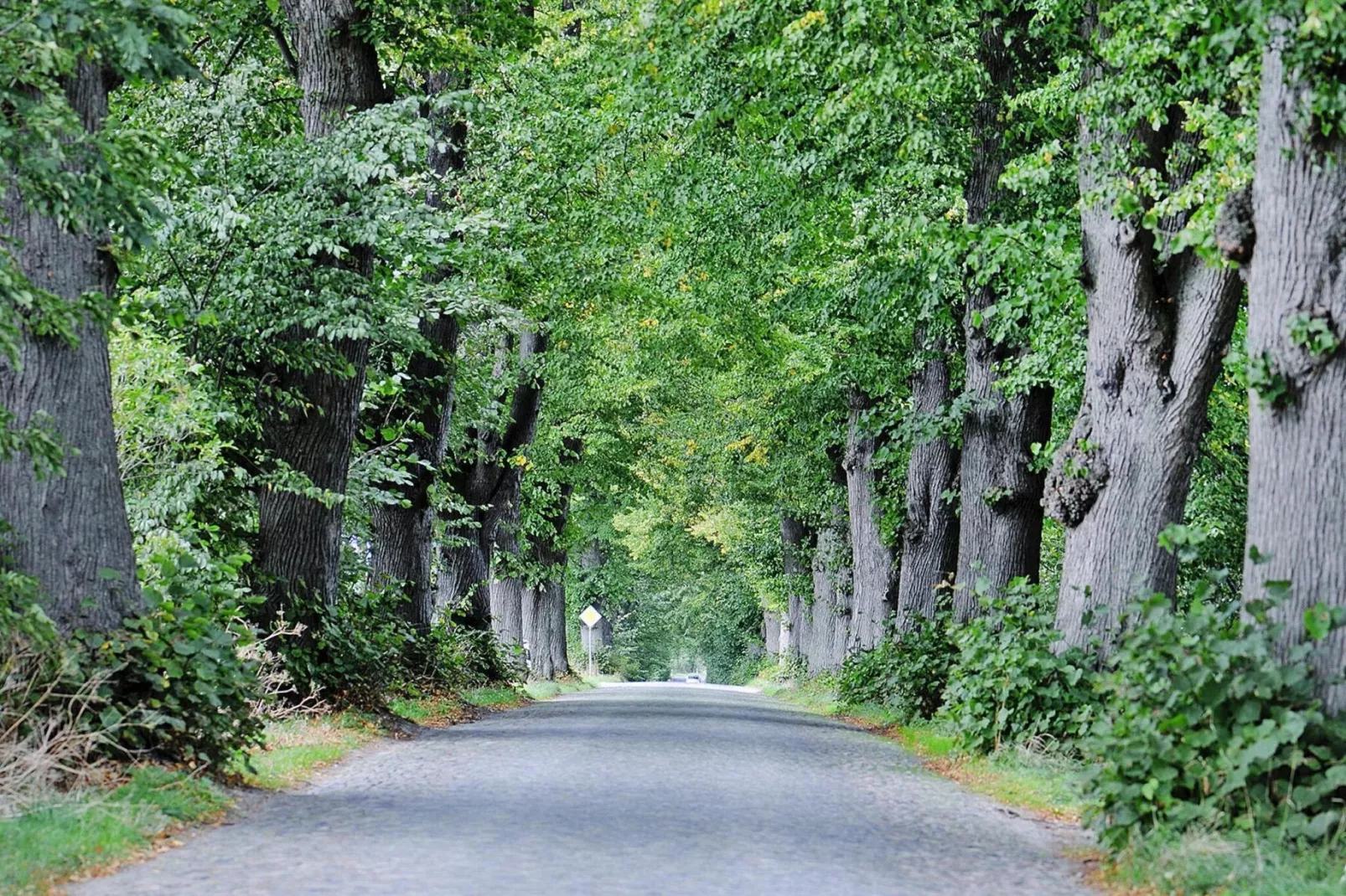 Gutshaus Zicker -Wohnung 9-Areas summer 5km