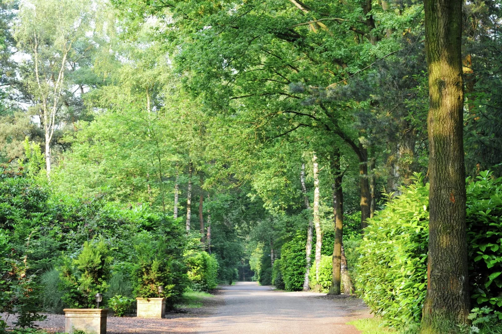 Parc de Kievit 2-Gardens summer