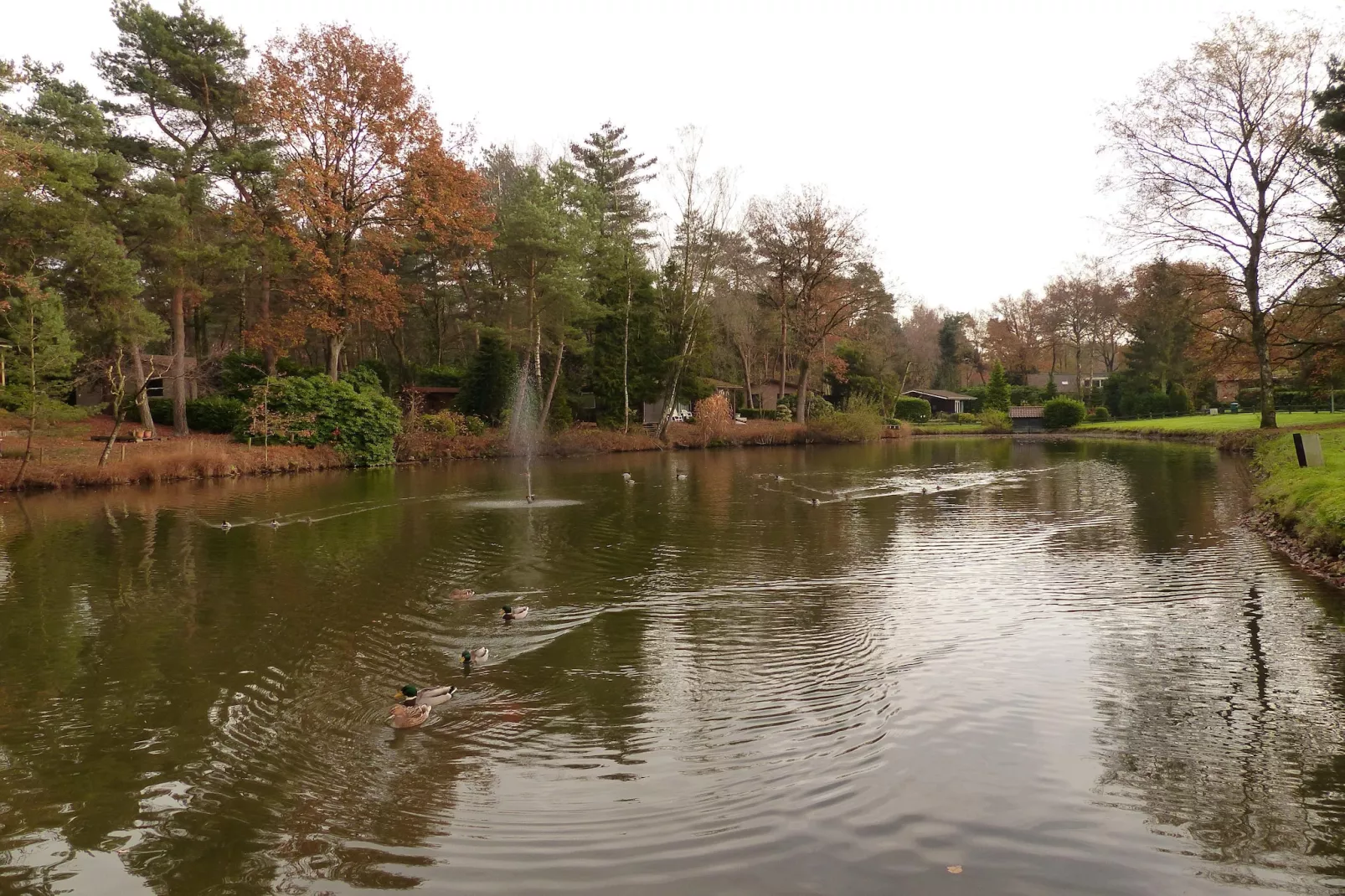 Parc de Kievit 2-Areas summer 5km