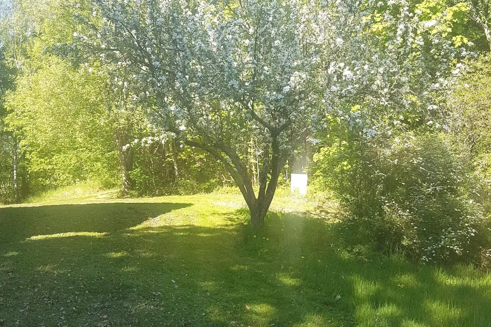 6 Personen Ferienhaus in BENGTSFORS-By Traum-Im Freien