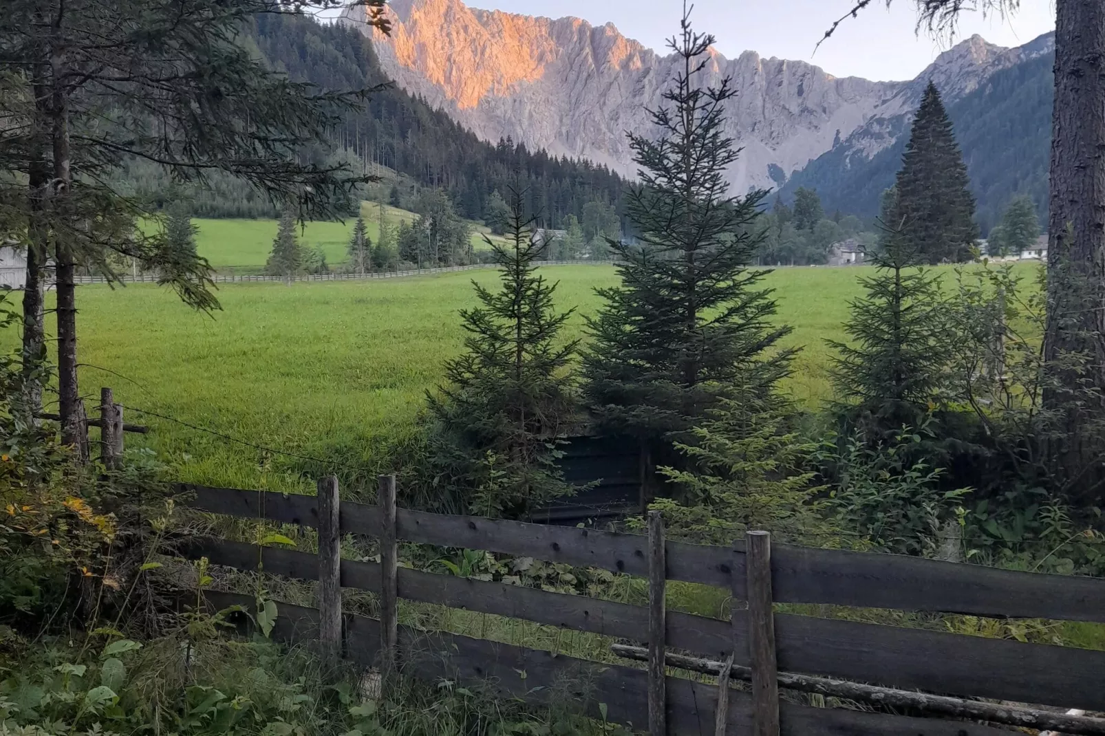 Haus Ella-View summer