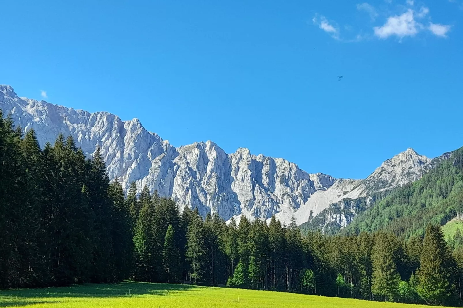 Haus Ella-View summer