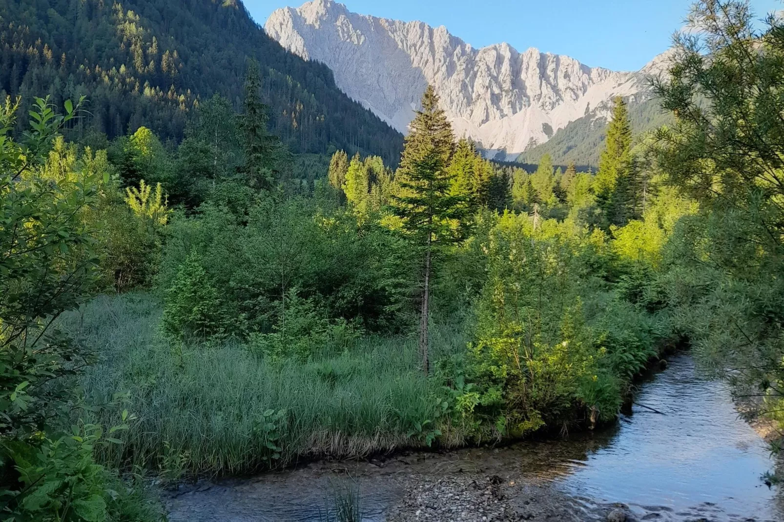 Haus Ella-Areas summer 5km