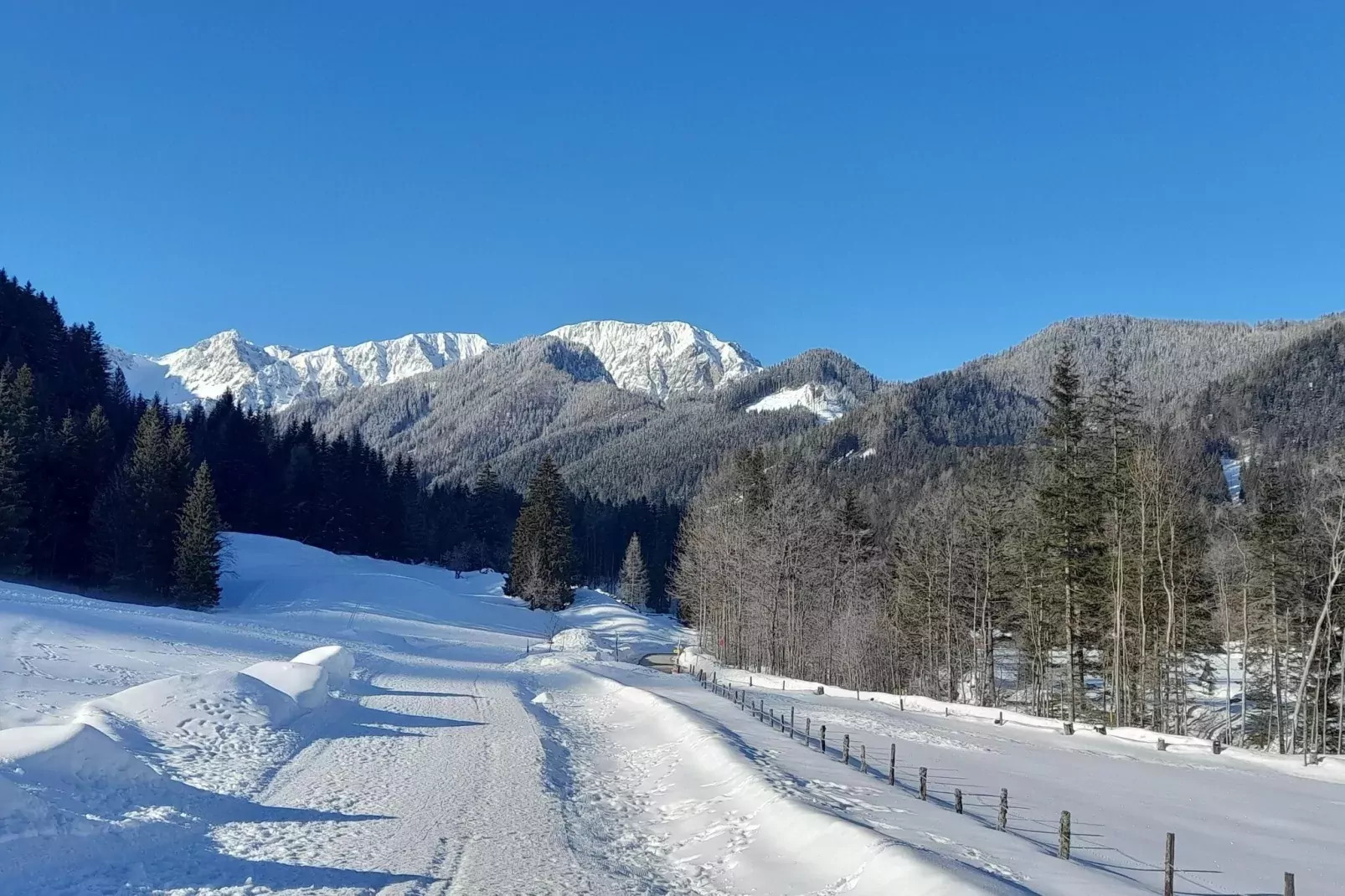 Haus Ella-Area winter 5km