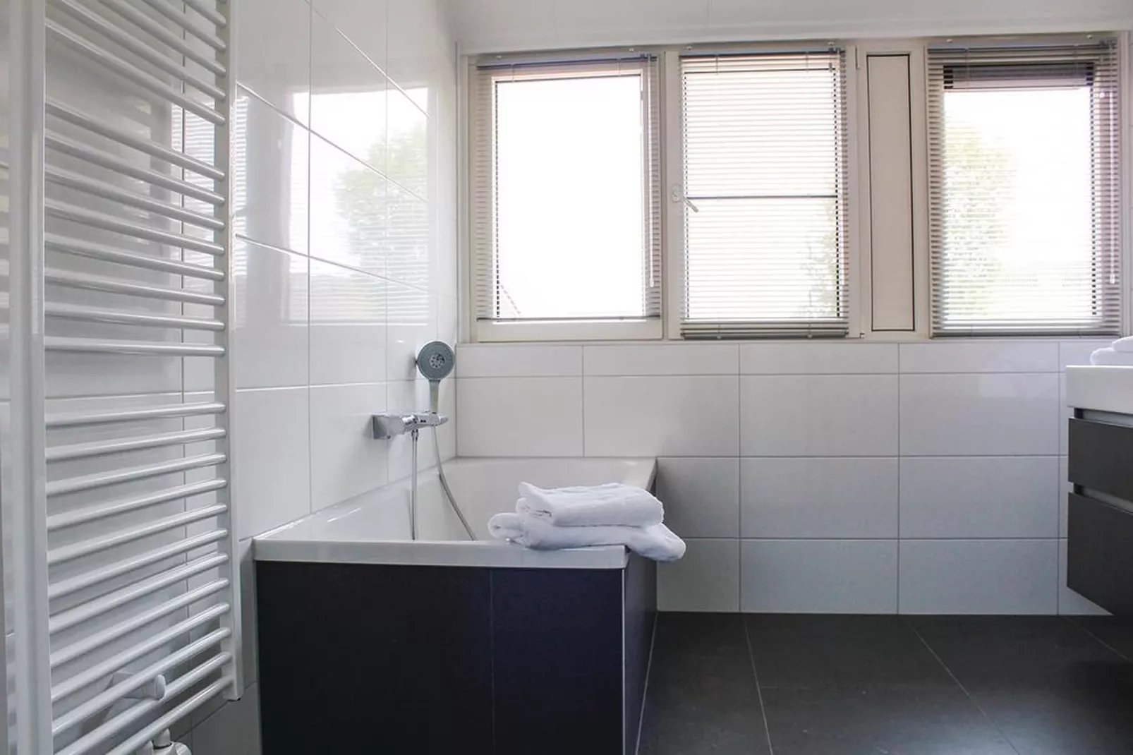Recreatiepark Idskenhuizen 6-Bathroom