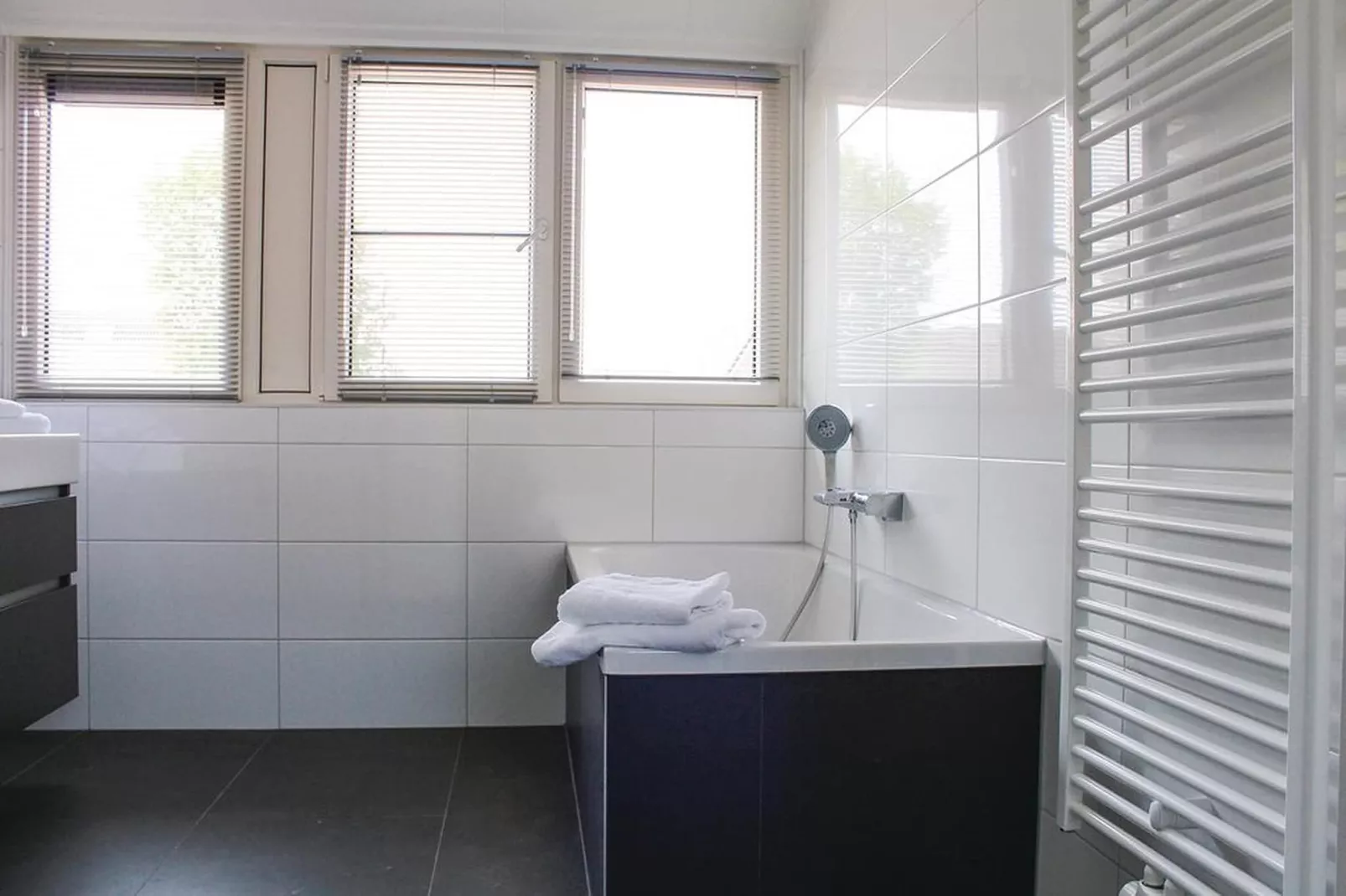 Recreatiepark Idskenhuizen 6-Bathroom