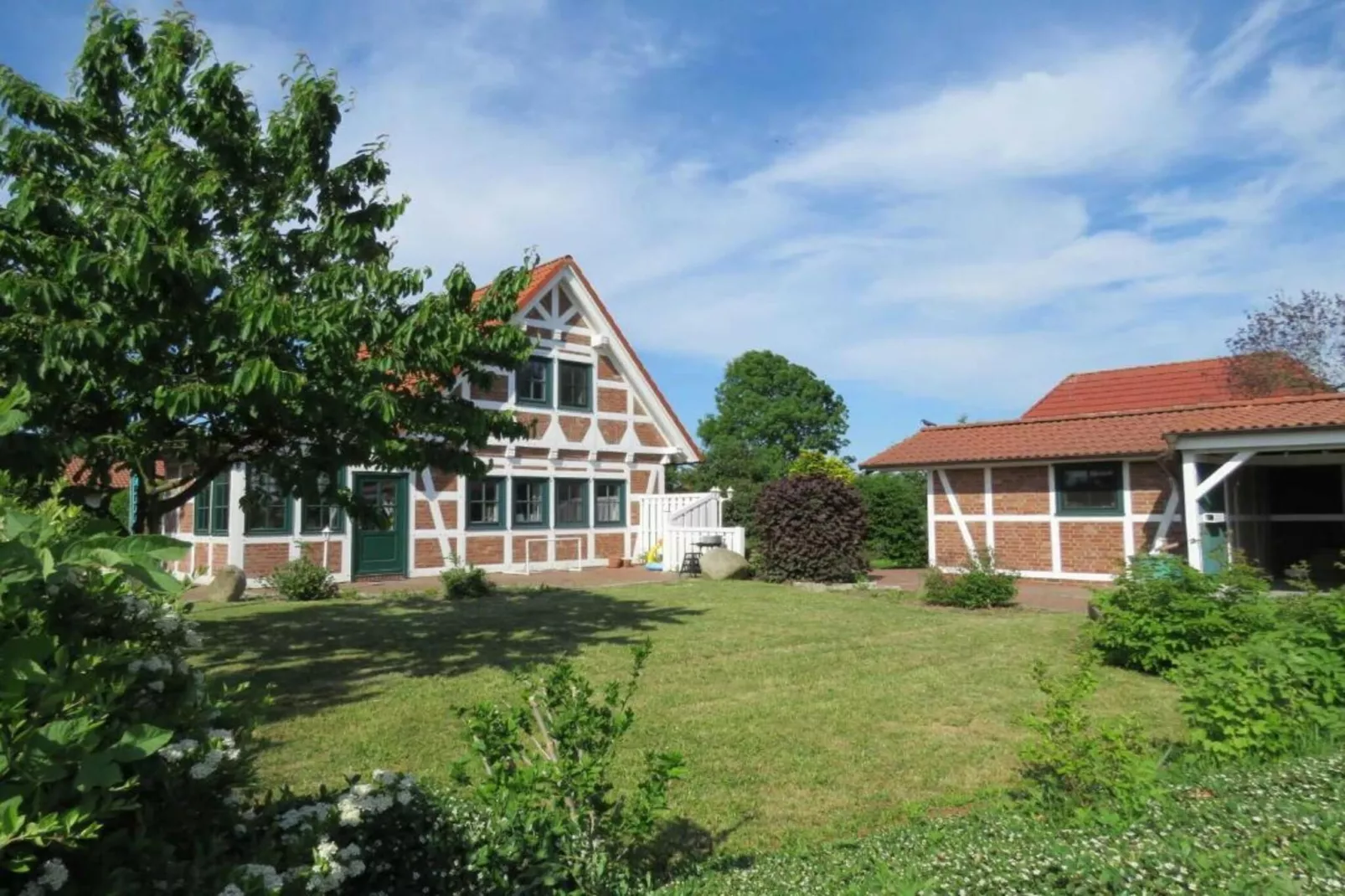 Ferienhaus in Hasselfelde - Haus 403 Auerhahn-Areas summer 5km