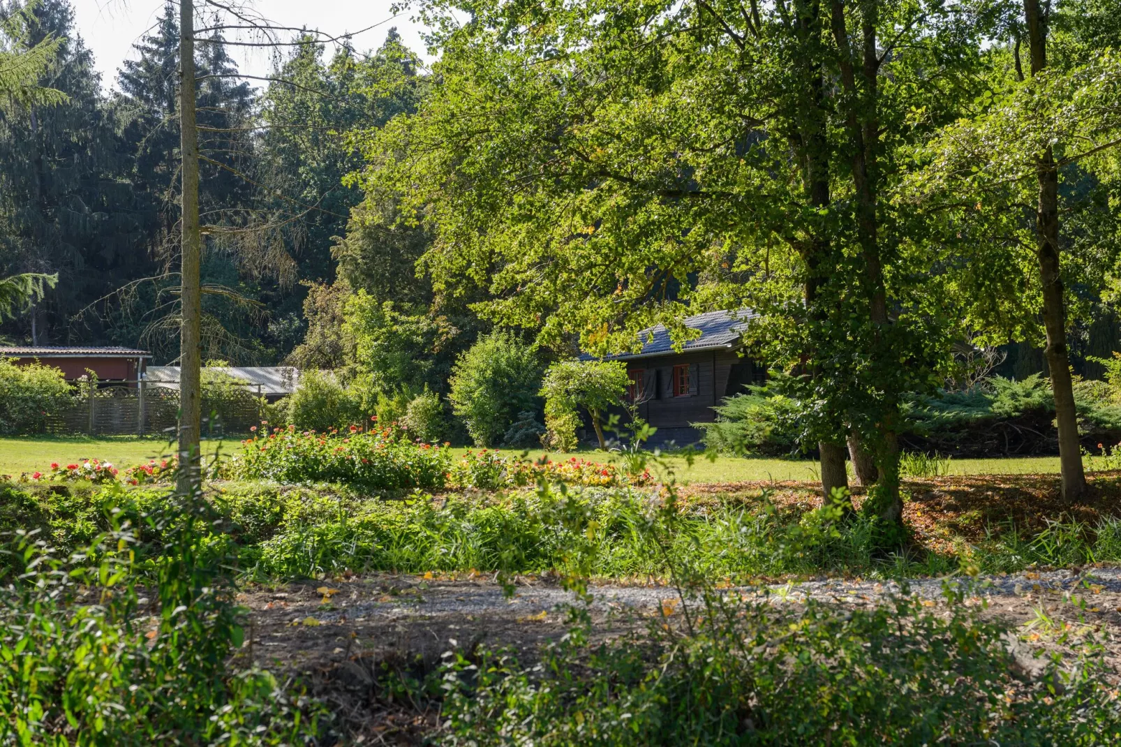 Lüneburger Heide-Gebiete Sommer 1 km