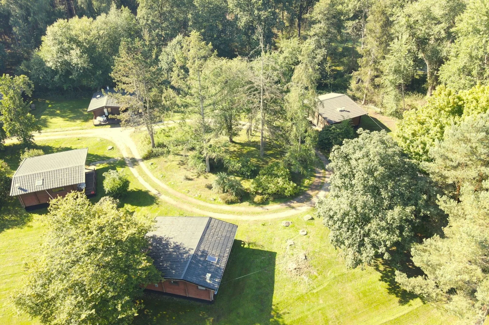 Lüneburger Heide-Aussicht Sommer