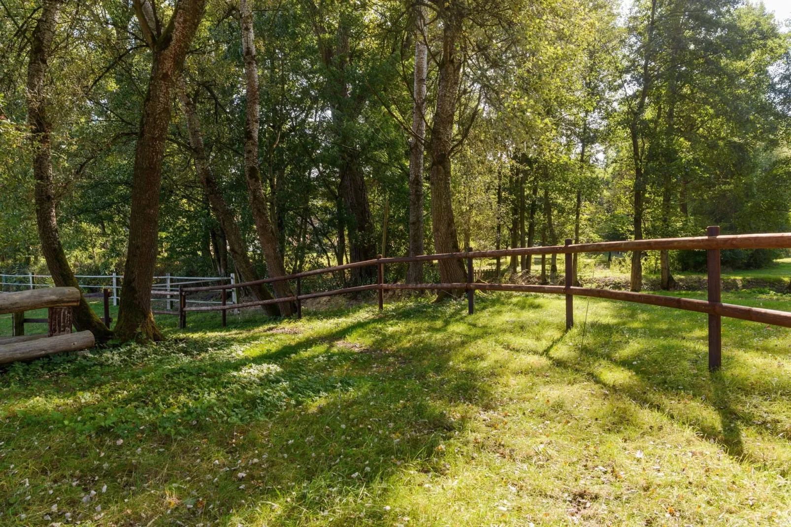 Lüneburger Heide-Garten Sommer