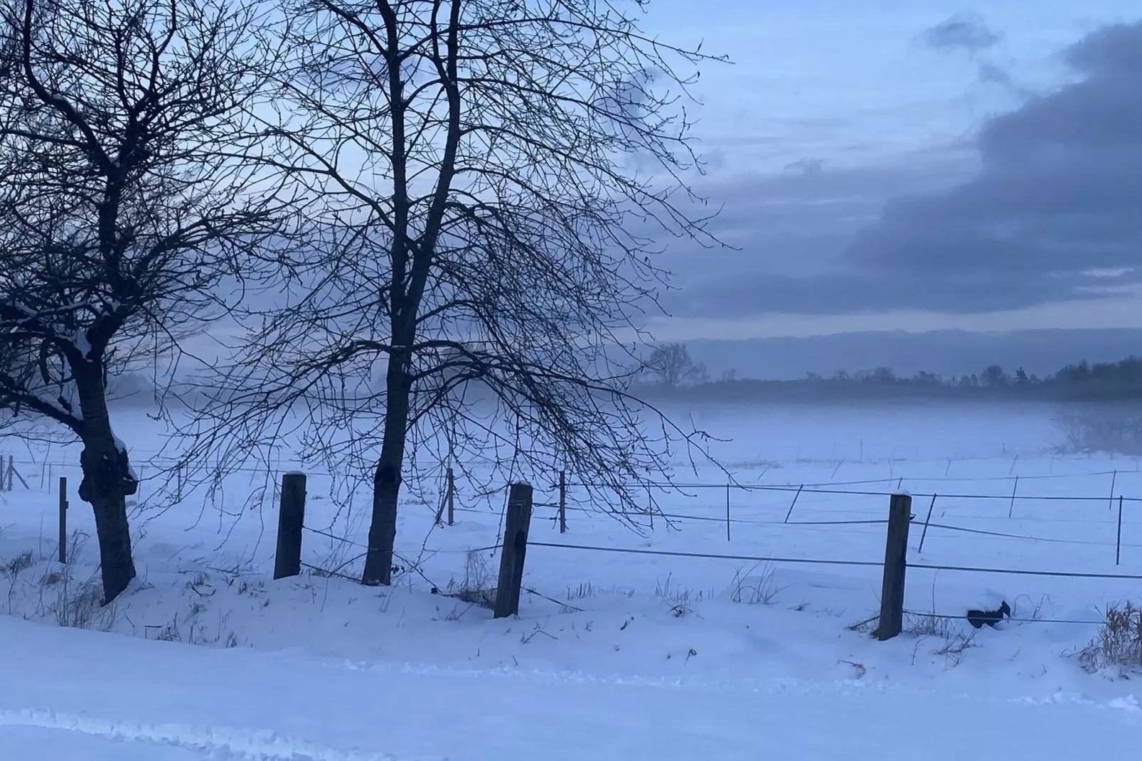 Lüneburger Heide-Gebiet Winter 1 km