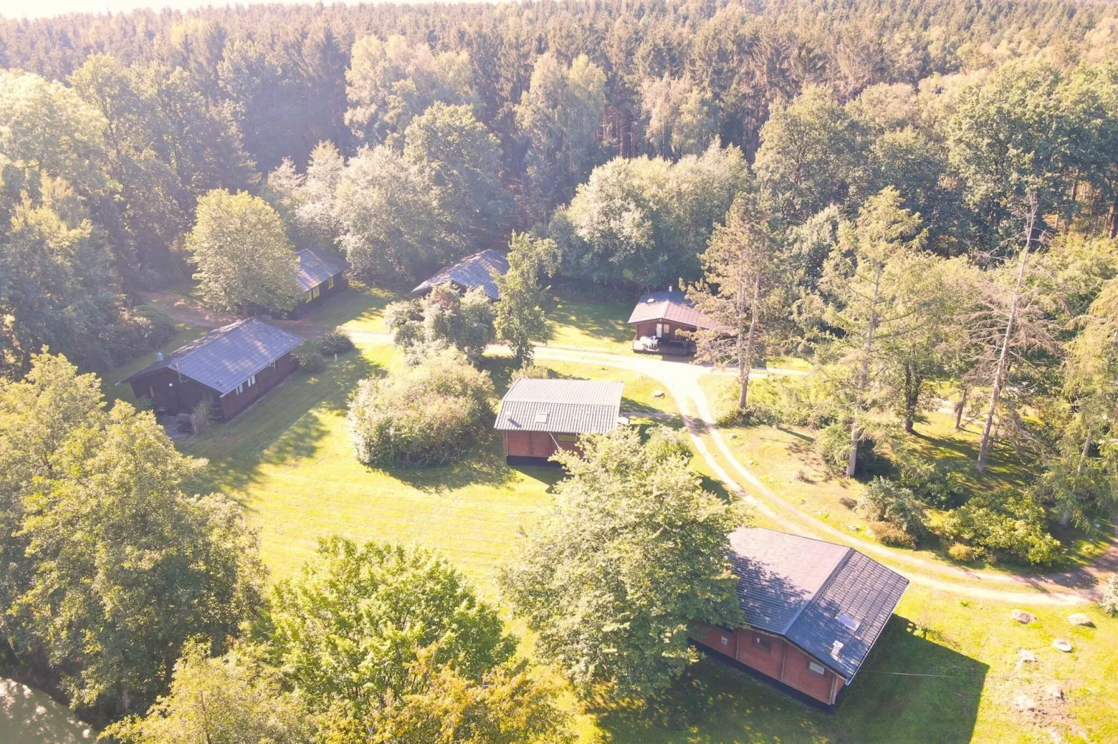 Lüneburger Heide-Garten Sommer