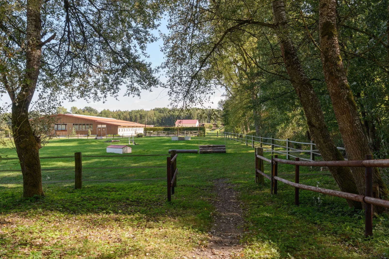 Lüneburger Heide-Garten Sommer