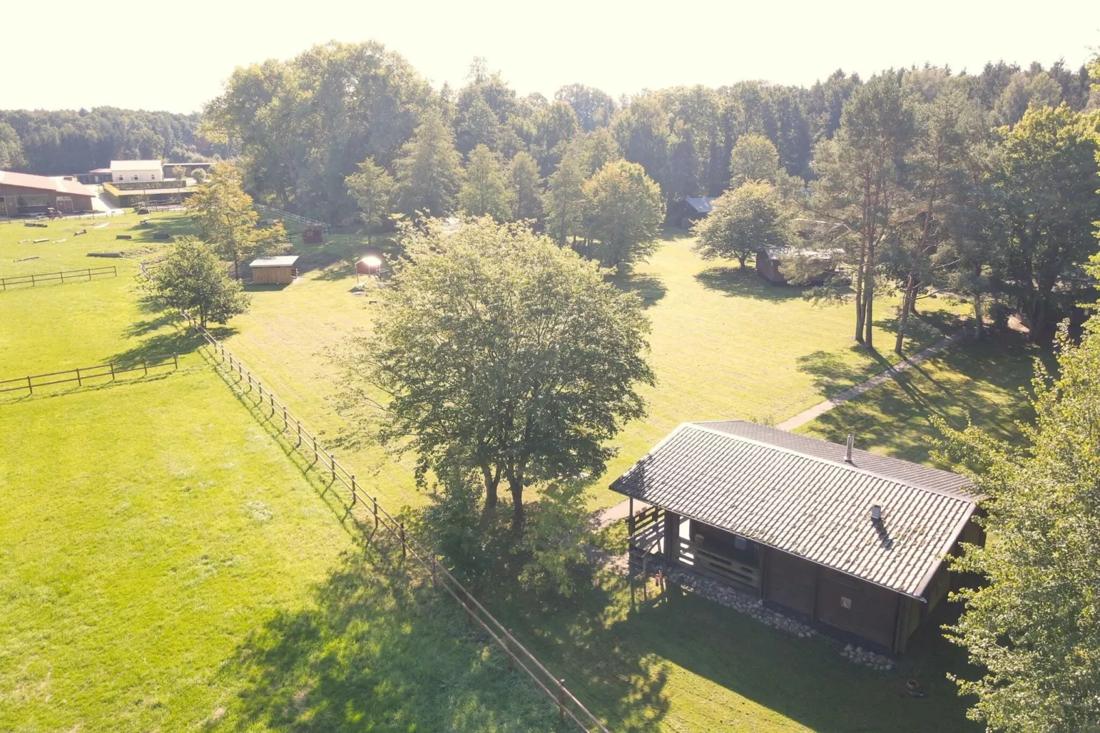 Lüneburger Heide-Aussicht Sommer