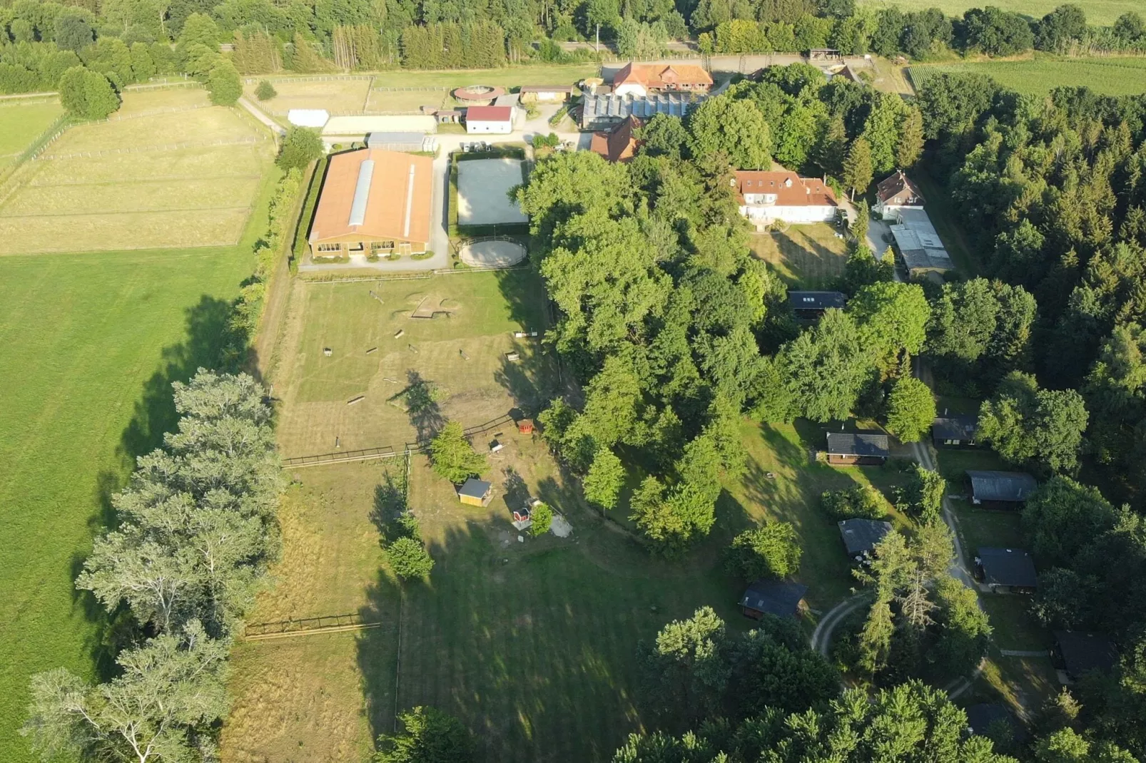 Lüneburger Heide-Gebiete Sommer 1 km