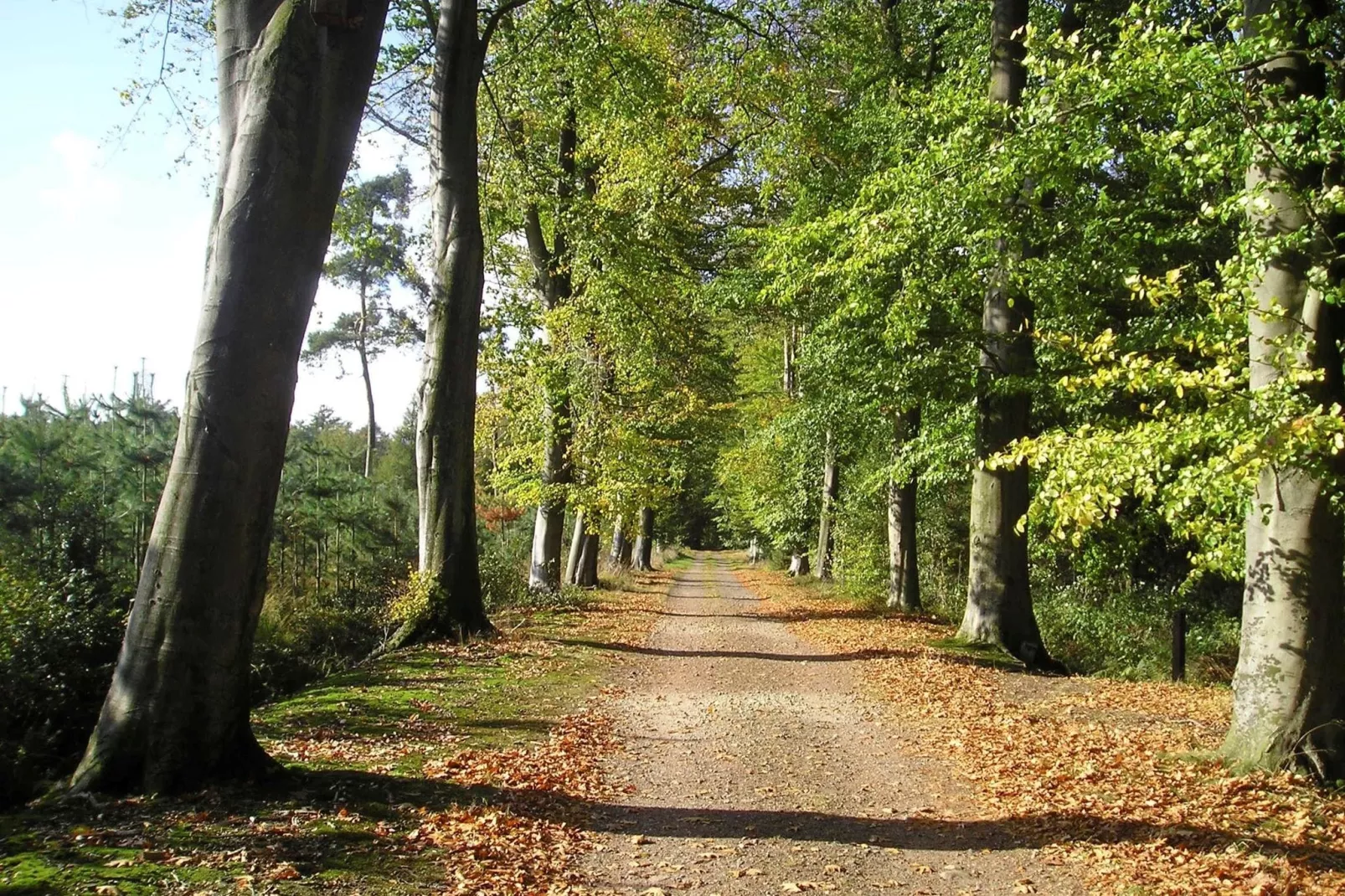 Ferienresort Bad Bentheim 19-Areas summer 20km