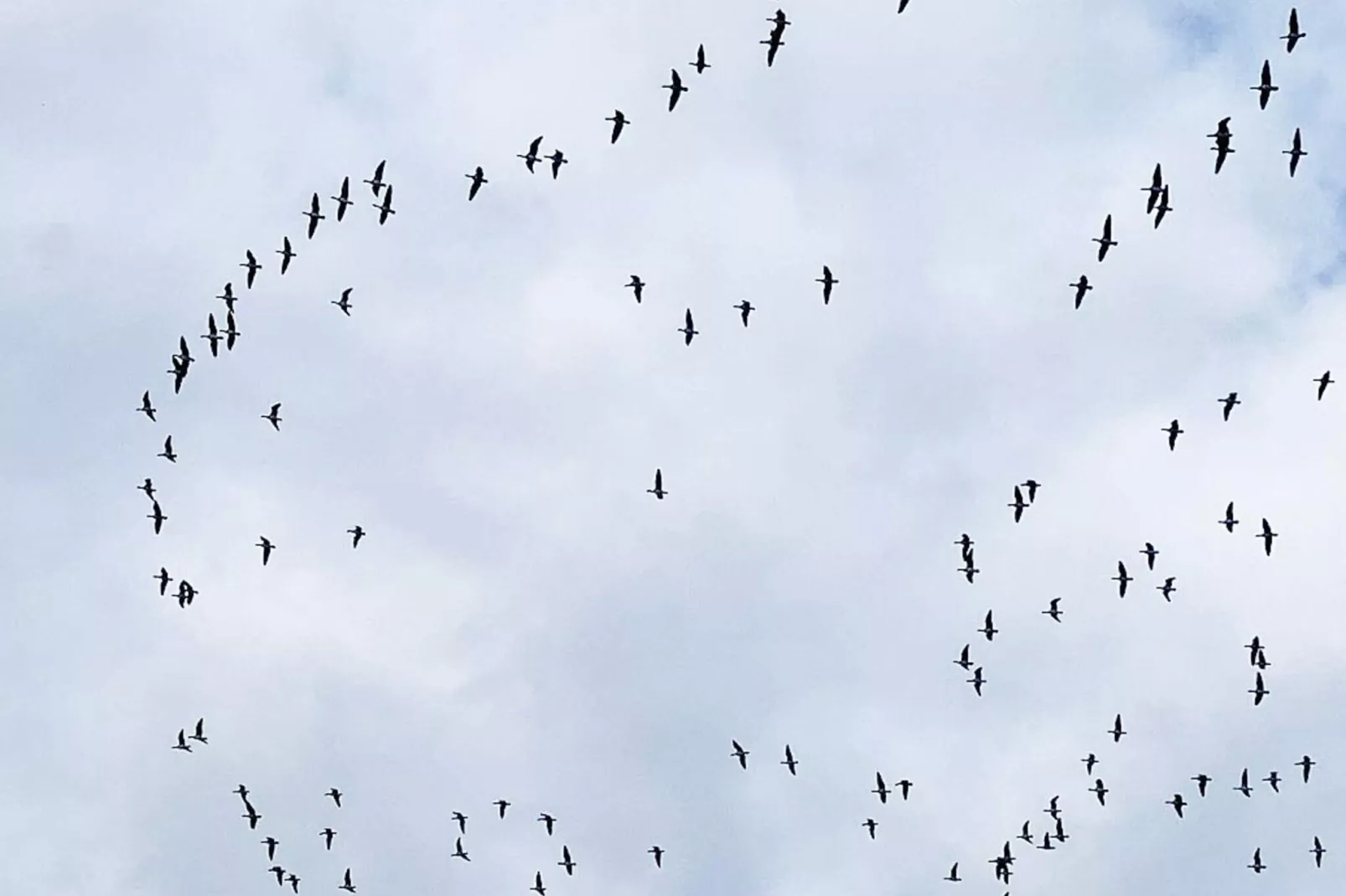 4 Personen Ferienhaus in Gedser-By Traum