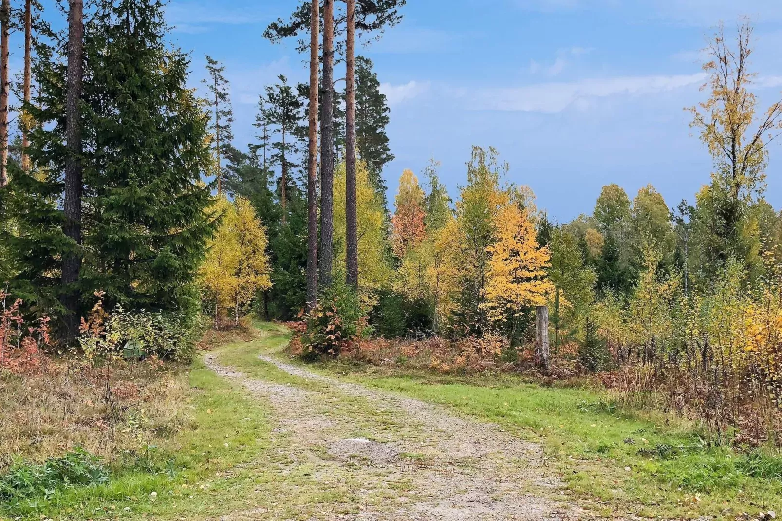6 person holiday home in TÖCKSFORS-By Traum-Not tagged