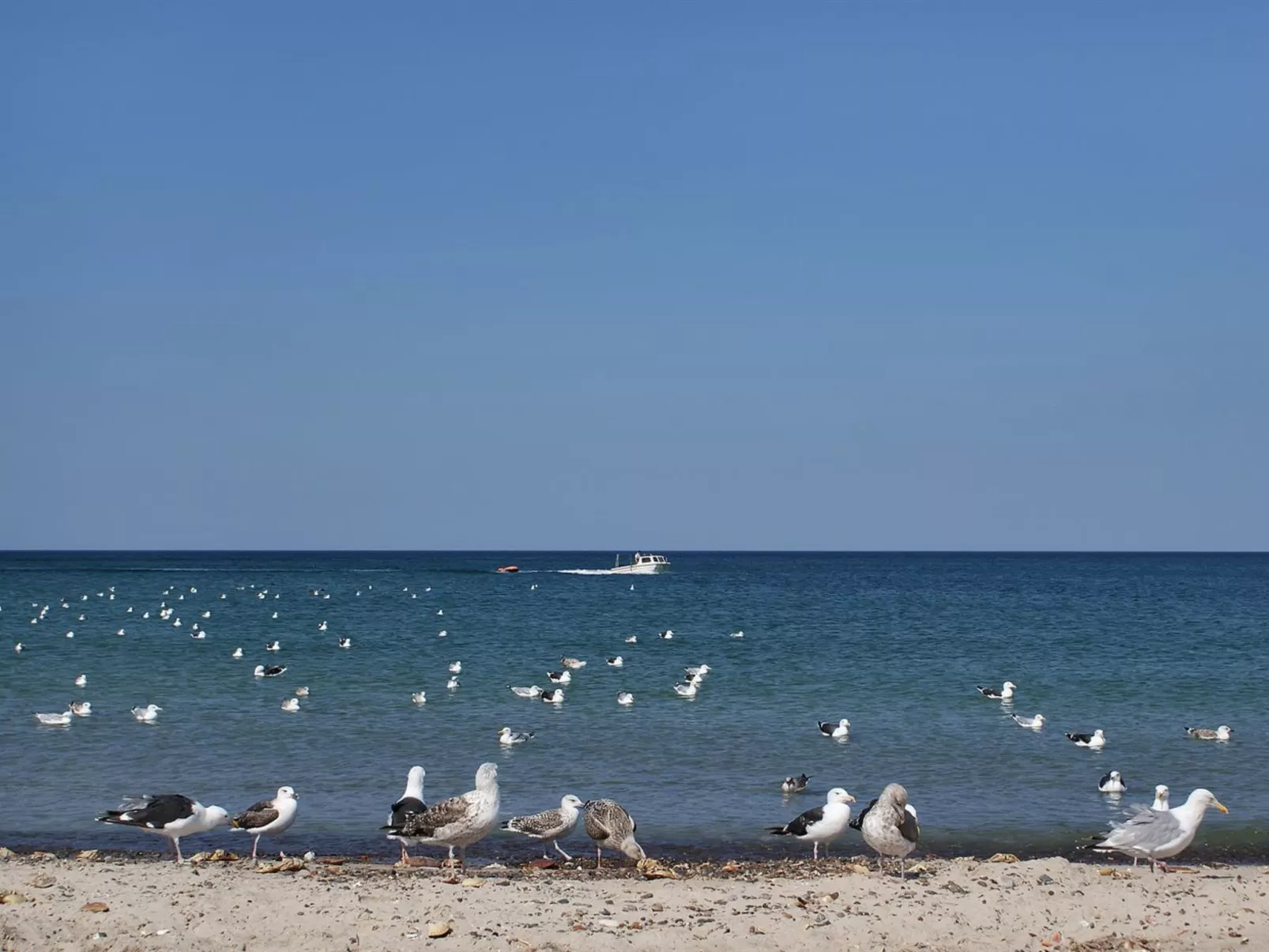 "Fani" - 200m from the sea-Outside