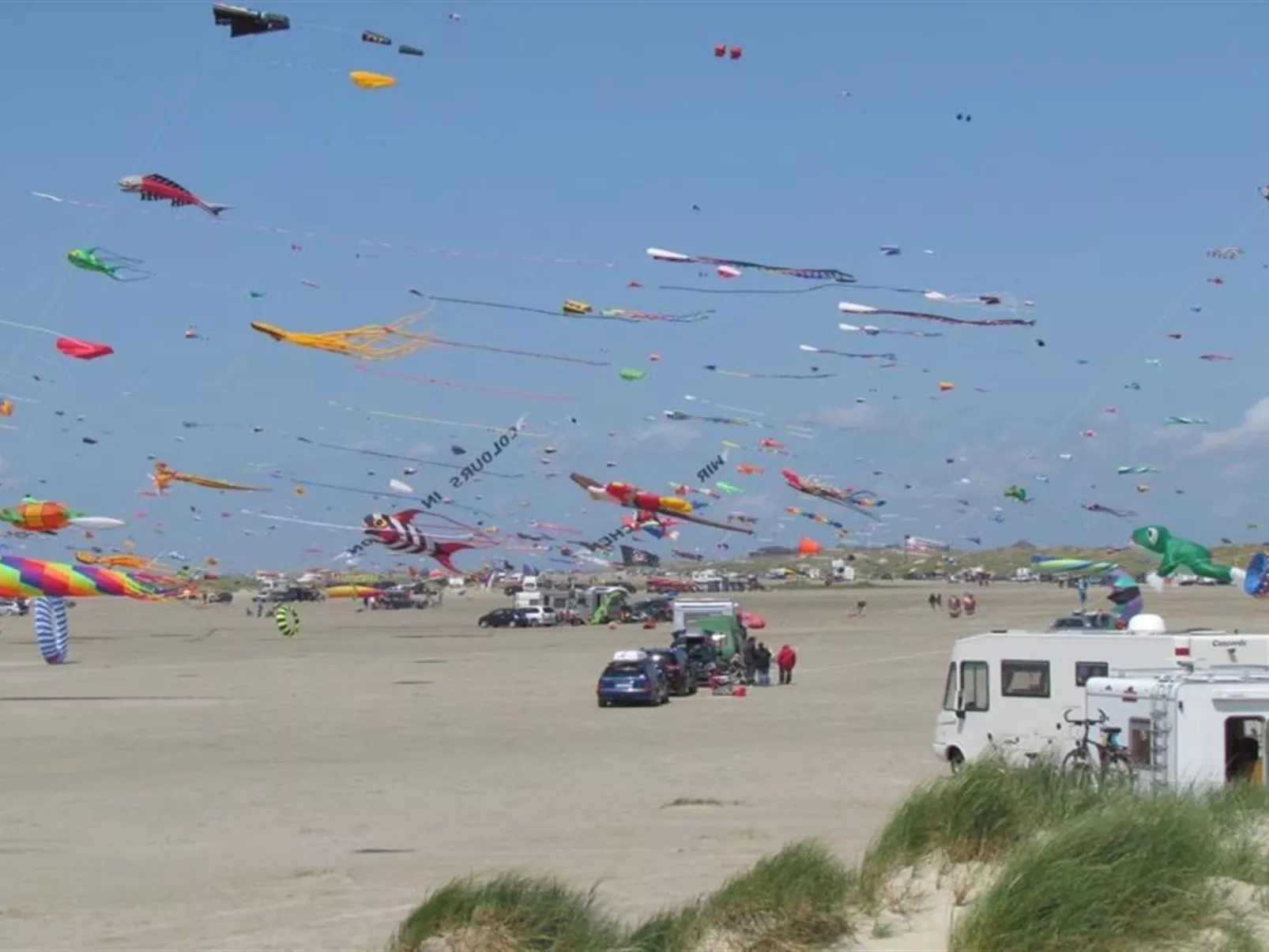 "Ellenore" - 100m from the sea in Western Jutland-Outside