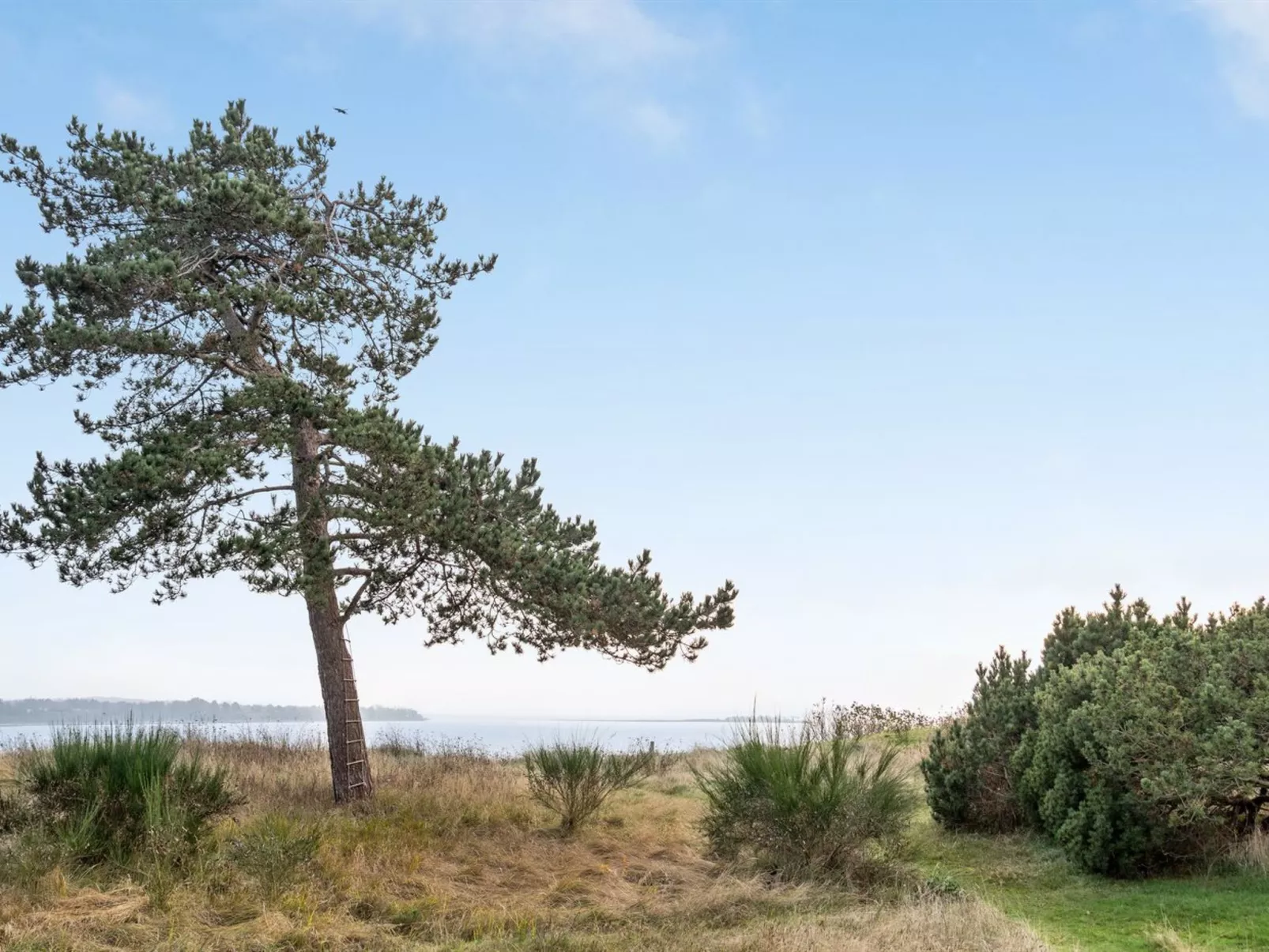 "Bosilka" - 75m from the sea-Outside