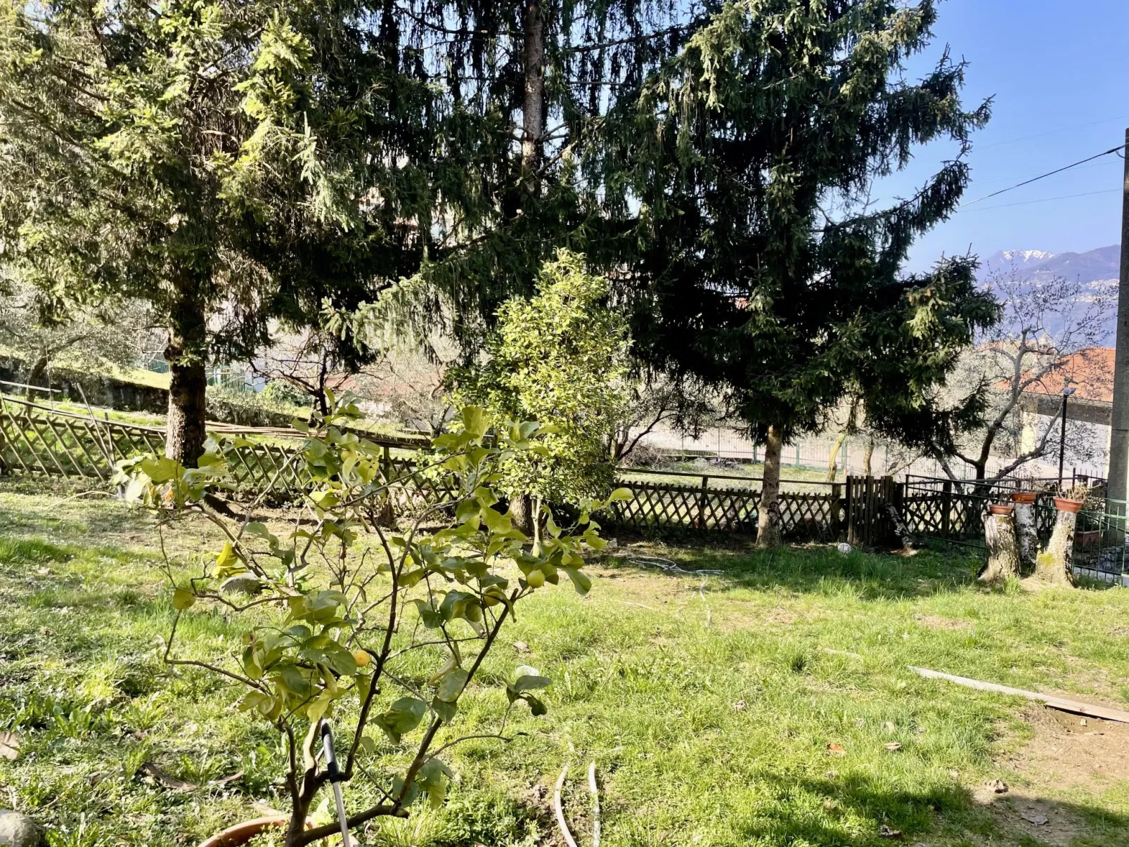 Nel Castagneto-Outside