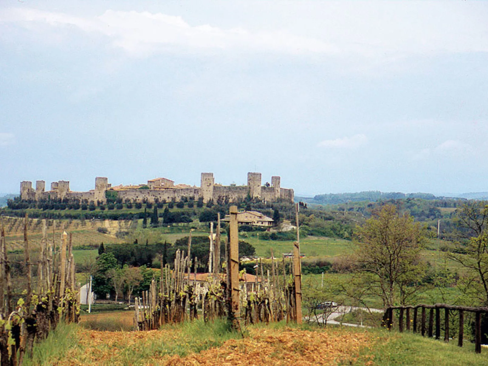 Fattoria Petraglia - Terrazza-Area
