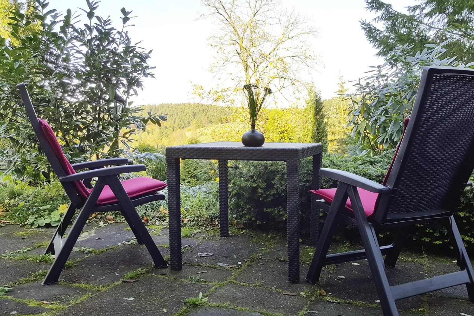 Hirschblick/Wohnung 6 4 Pers-Gardens summer