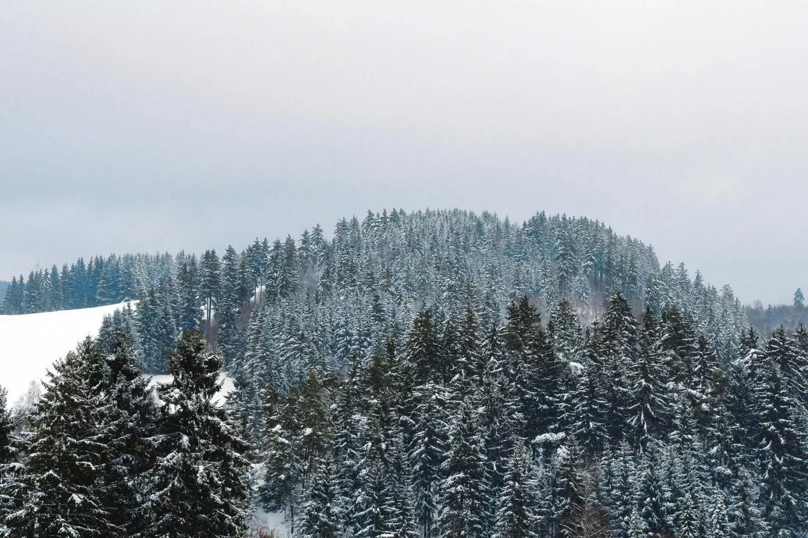Hirschblick/Wohnung 6 4 Pers-View winter