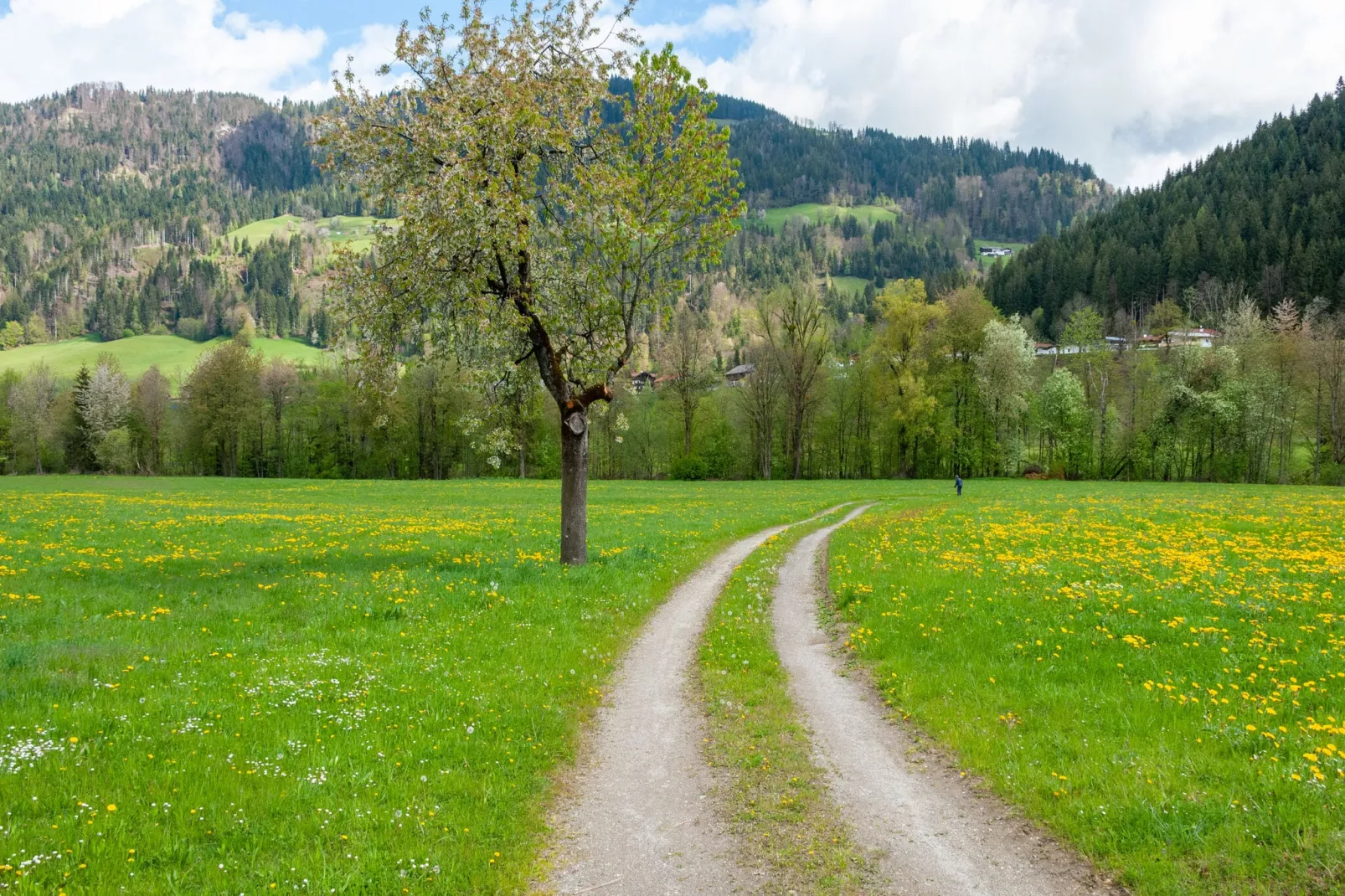 Residenz Edelalm - Penthouse-Areas summer 5km