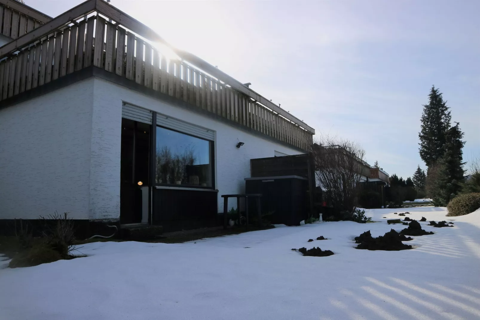 Flora-Exterior winter