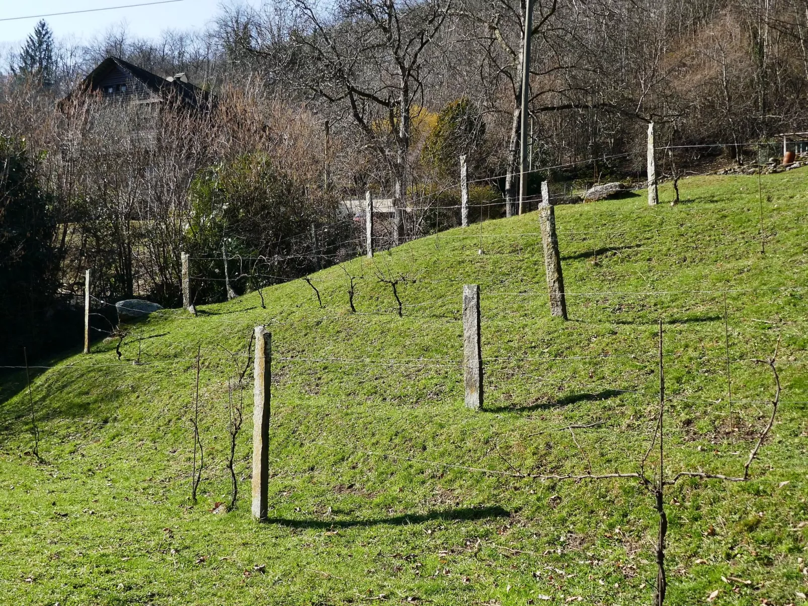 Casa Jolli-Outside