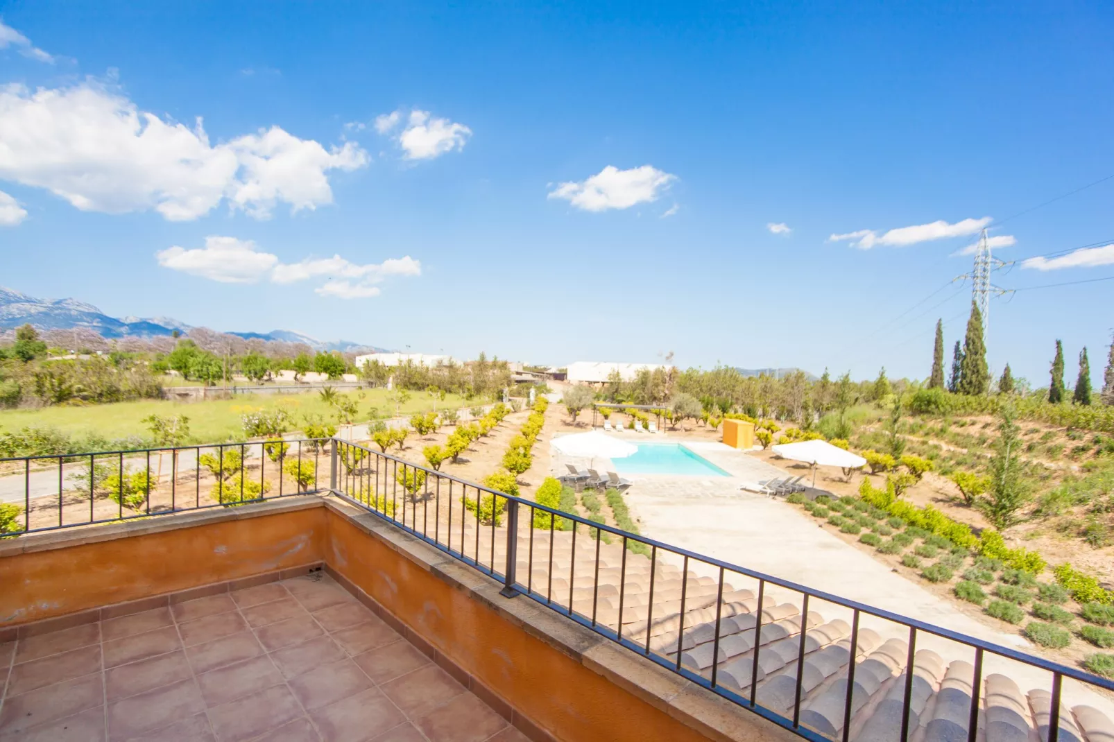 Finca Can Pol-View summer