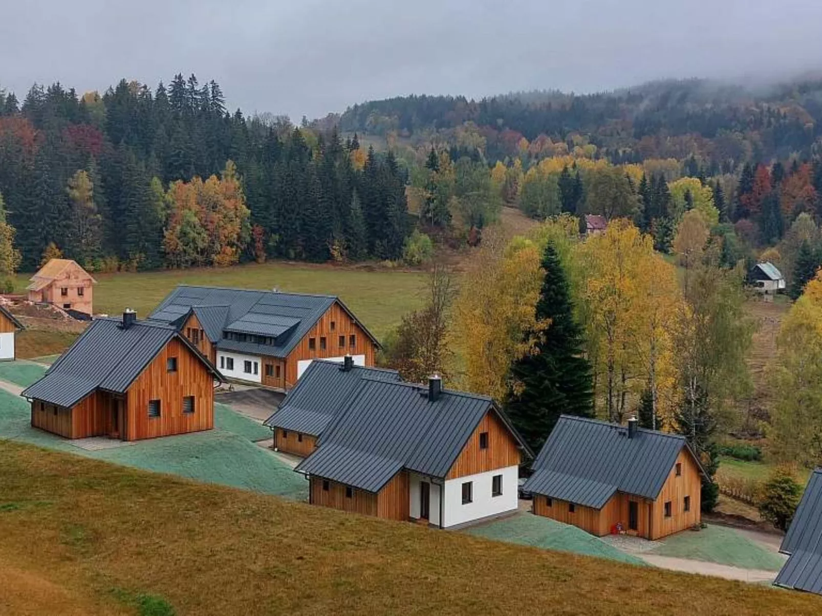 Pod lesem 265-Area