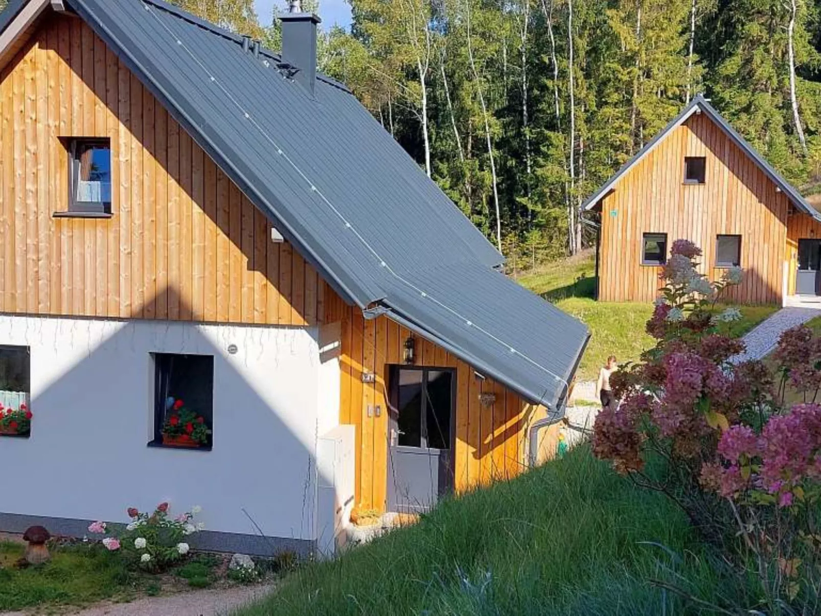 Jelení kout-Area