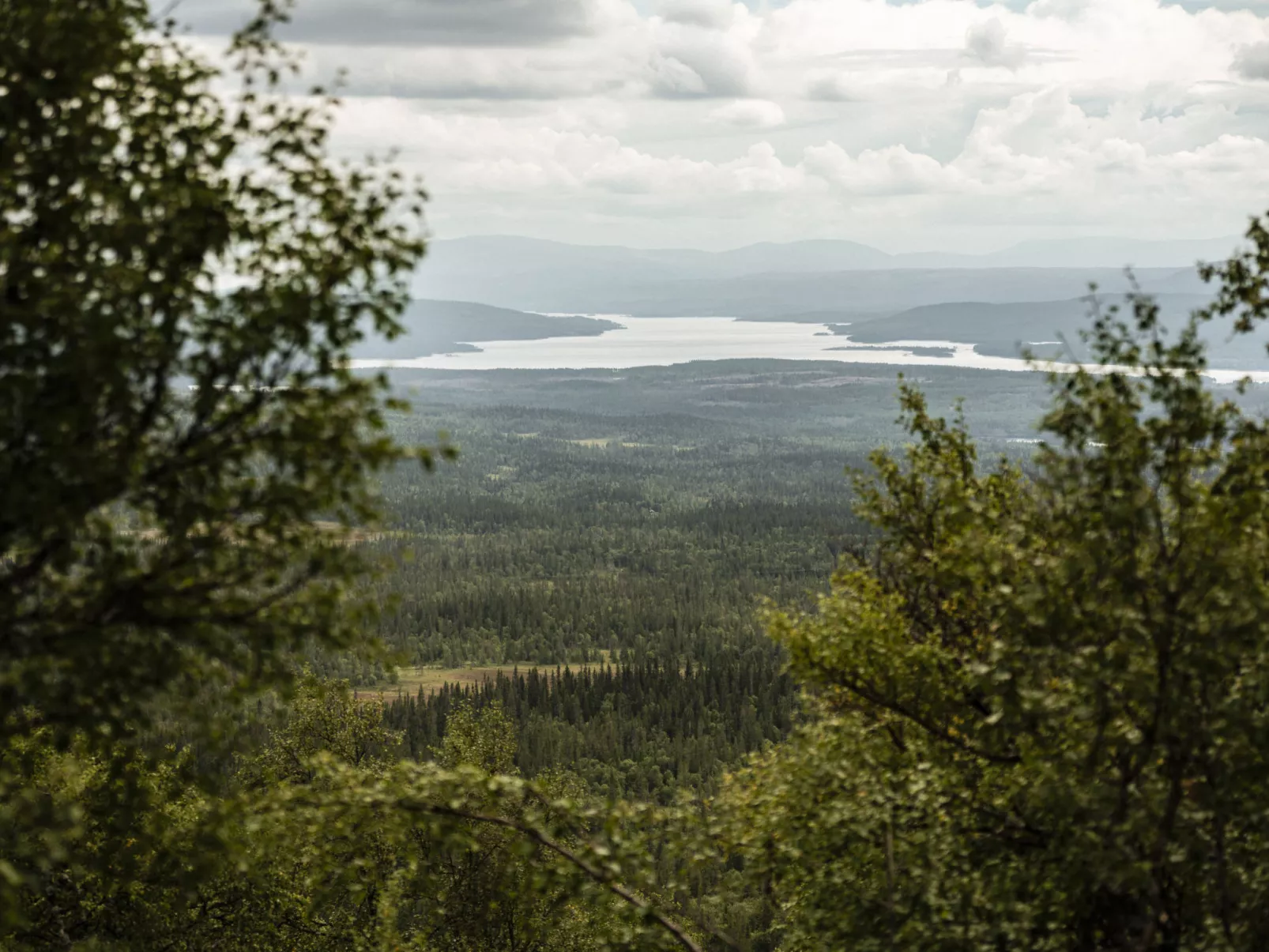 Trillevallen 9-Area