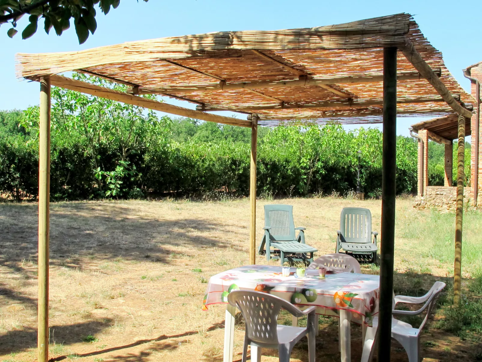 Fattoria Petraglia - Cedro-Draußen