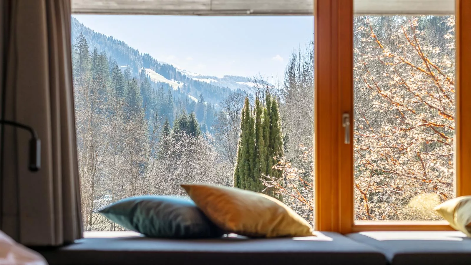 Im Wald-Vue d'été