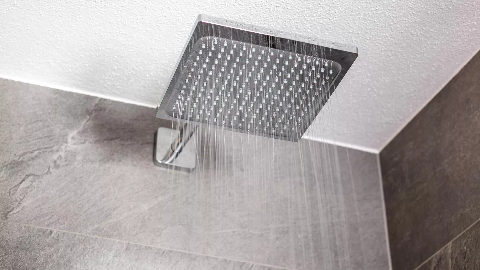 Im Wald-Salle de bain