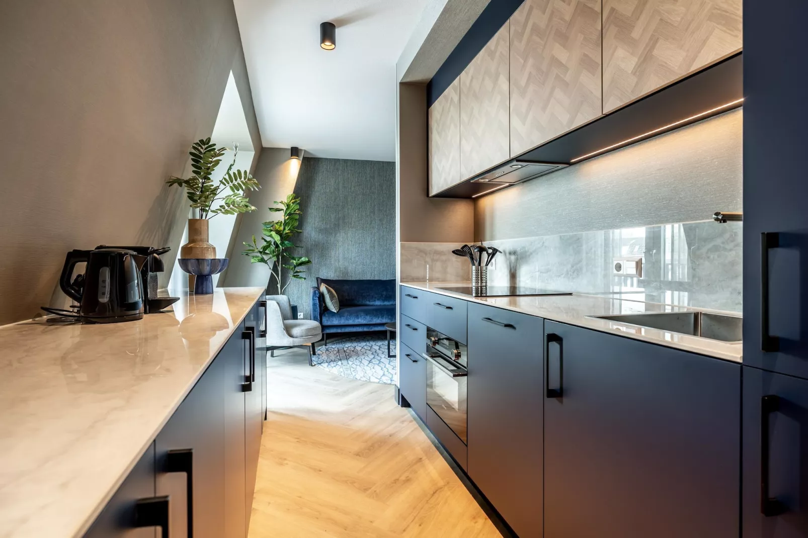Delft 3B-Kitchen