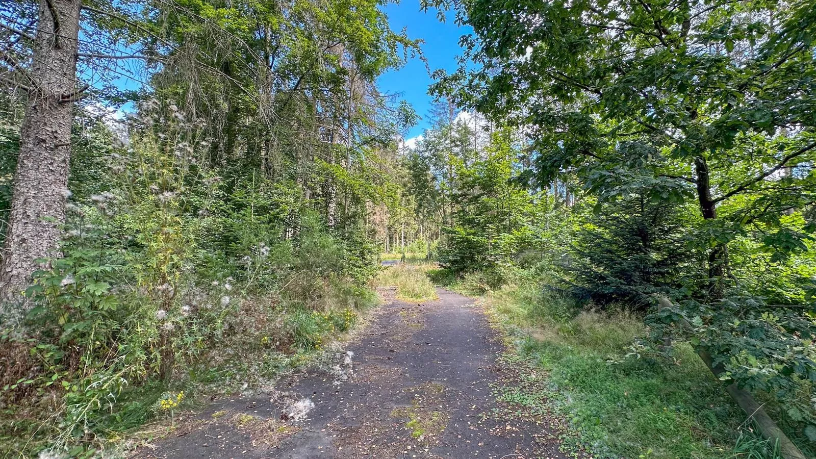 Forest Cabin-Areas summer 1km