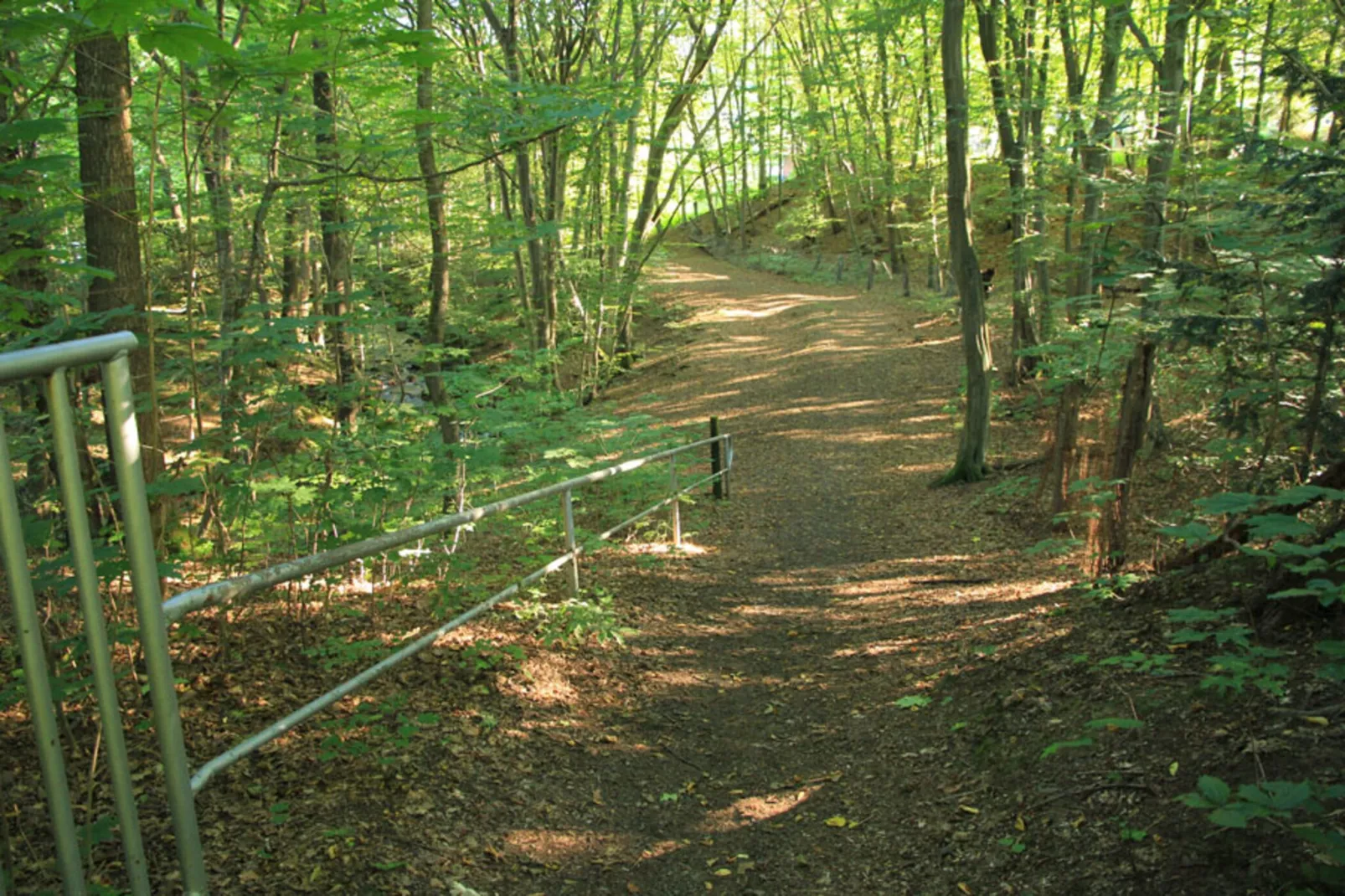 Wohnung 1 Wandernest-Areas summer 1km