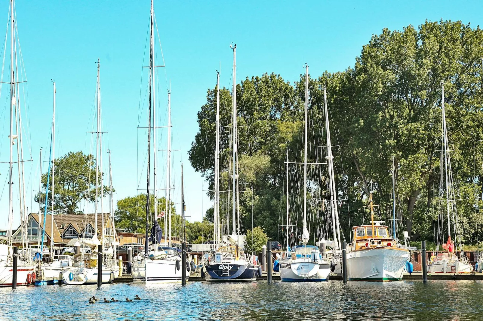 OSTSEEAPARTMENTS AM FEHMARNSUND-Nicht zugeordnet