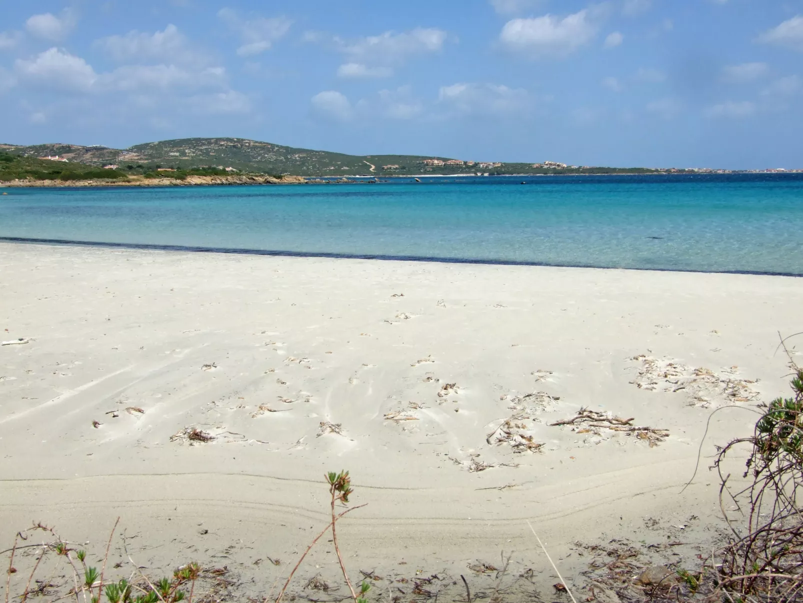 Pellicano-Area